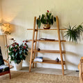Ladder shelf stand in Pacific Rimu timber, overhead detail view showing shelf construction and spacing